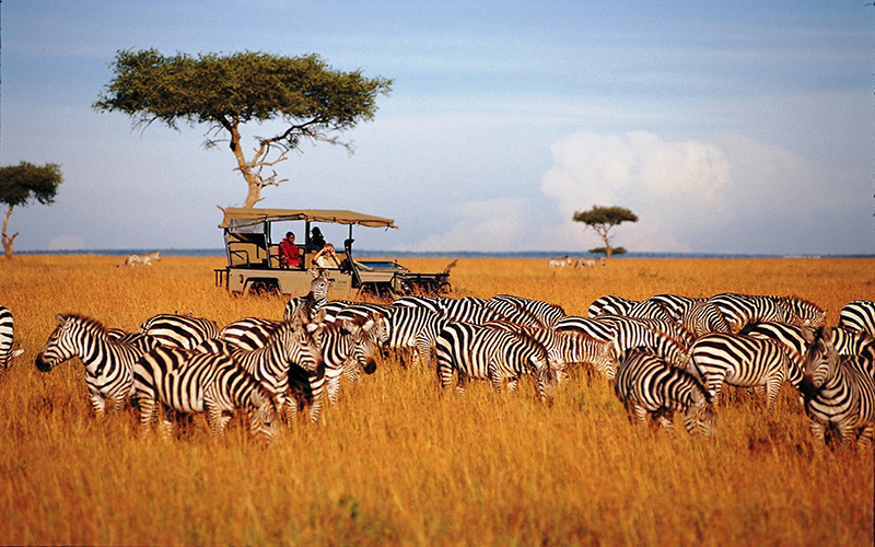 8 DAYS ADVENTURE SAFARIS