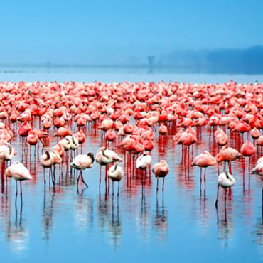 Lake Manyara National Park