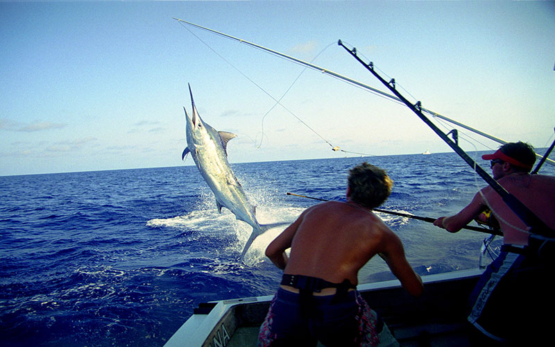 DEEP SEA FISHING IN ZANZIBAR