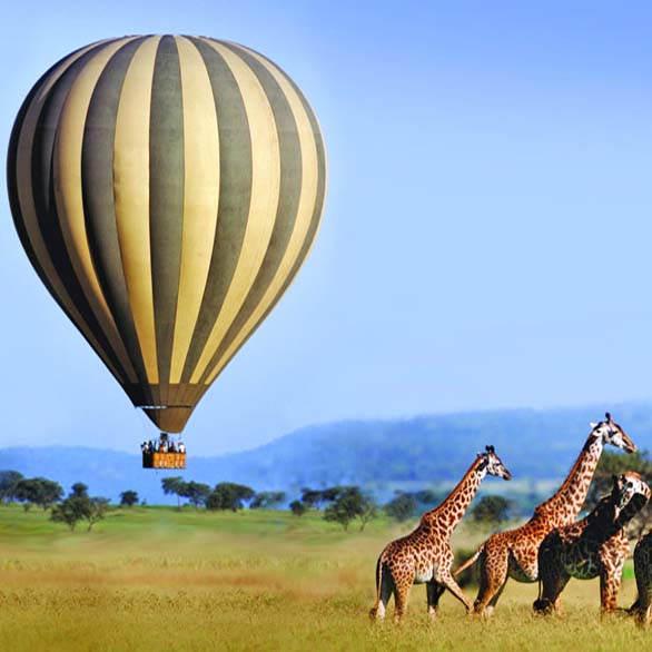 SAFARI PACKAGES & DEALS