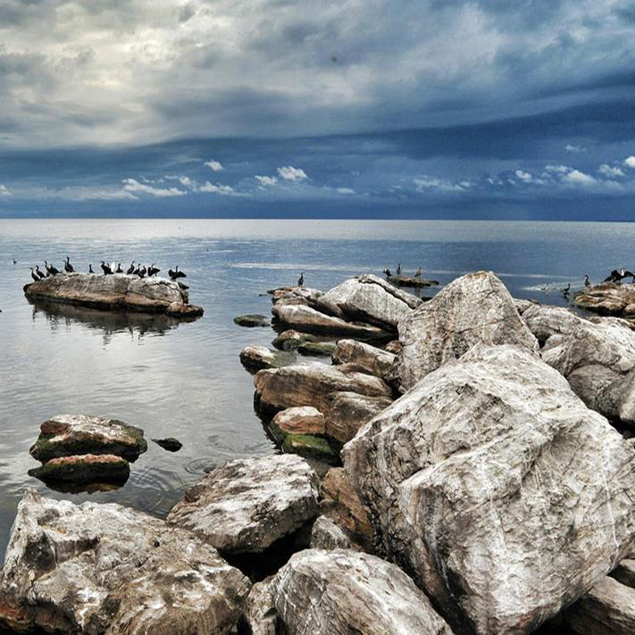 Rubondo Island National Park