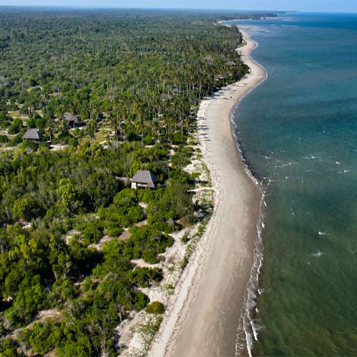 Saadani National Park