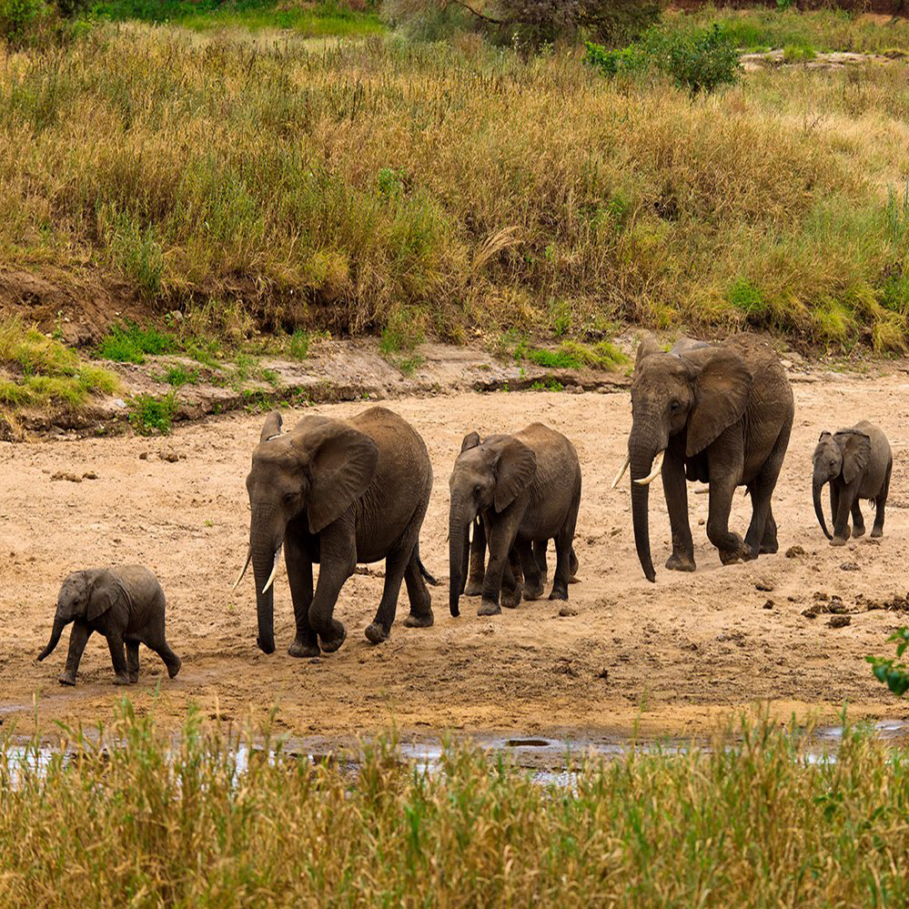 Tarangire National Park